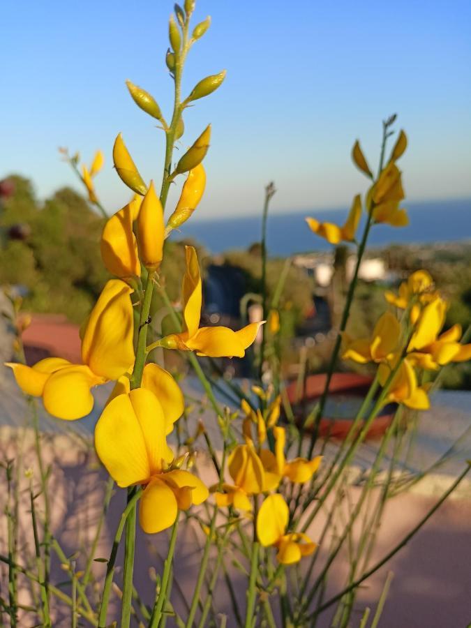La Petite Maison Aci Castello Zewnętrze zdjęcie